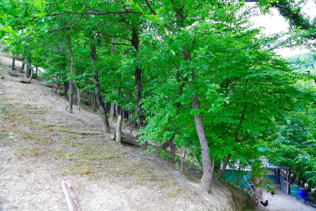 Agriturismo Biologico Villa Rosa Monte Guiduccio Экстерьер фото