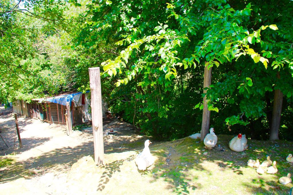 Agriturismo Biologico Villa Rosa Monte Guiduccio Экстерьер фото
