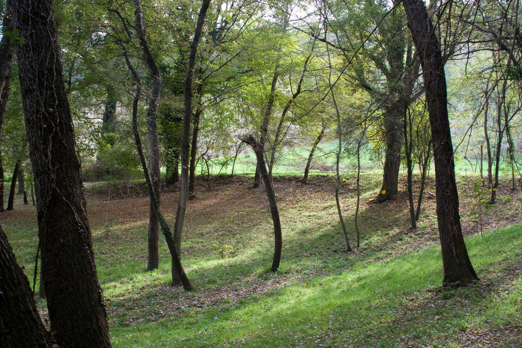 Agriturismo Biologico Villa Rosa Monte Guiduccio Экстерьер фото